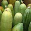 地野菜イメージ