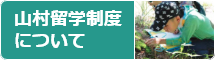 山村留学制度について