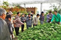 ハーブ庭園“旅日記”