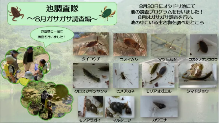 池の生息調査イメージ