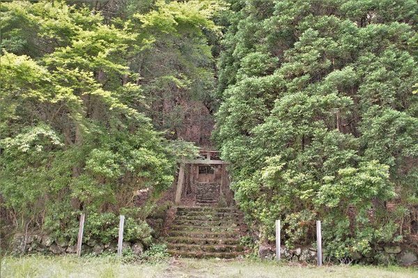 奈良田八幡宮の社叢