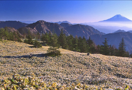 行田山